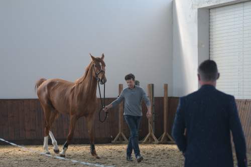 DSC_4021
